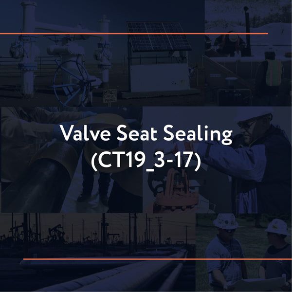 Picture of CT19_3-17: Valve Seat Sealing