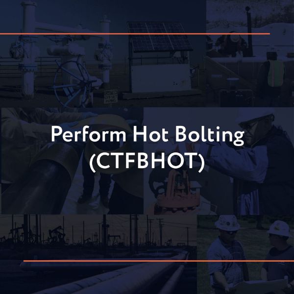 Picture of CTFBHOT: Perform Hot Bolting