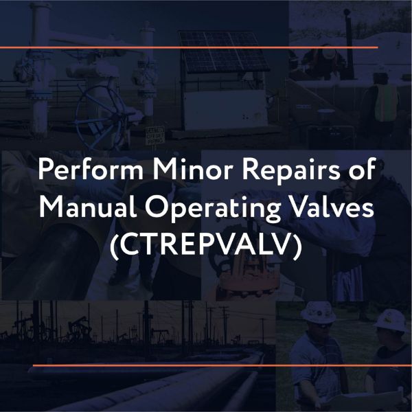 Picture of CTREPVALV: Perform Minor Repairs of Manual Operating Valves