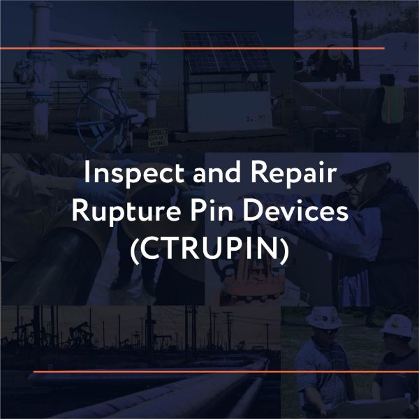 Picture of CTRUPIN: Inspect and Repair Rupture Pin Devices