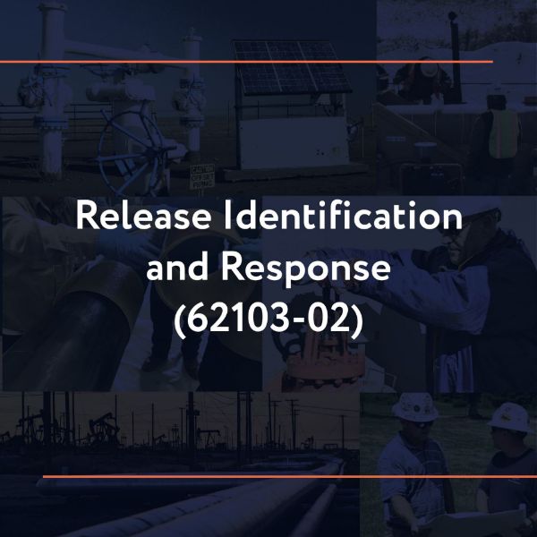 Picture of 62103-02: Release Identification and Response