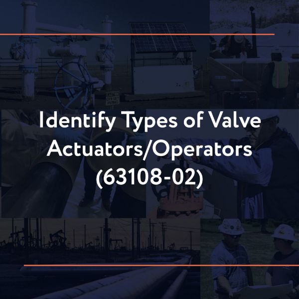 Picture of 63108-02: Identify Types of Valve Actuators/Operators