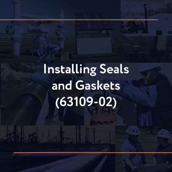 Picture of 63109-02: Installing Seals and Gaskets